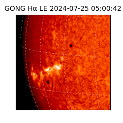 gong - 2024-07-25T05:00:42