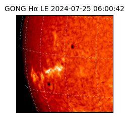 gong - 2024-07-25T06:00:42