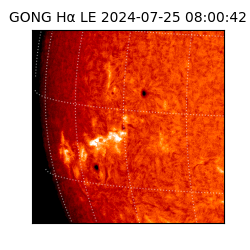 gong - 2024-07-25T08:00:42