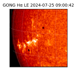 gong - 2024-07-25T09:00:42