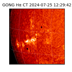 gong - 2024-07-25T12:29:42