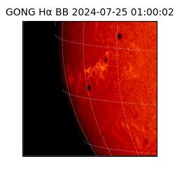 gong - 2024-07-25T01:00:02