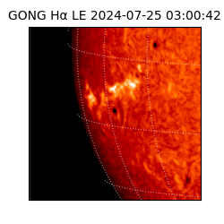 gong - 2024-07-25T03:00:42