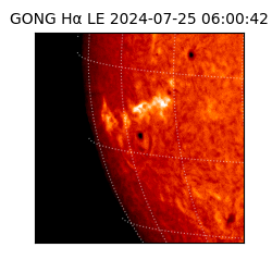 gong - 2024-07-25T06:00:42