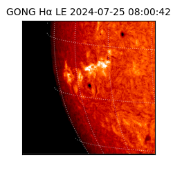 gong - 2024-07-25T08:00:42