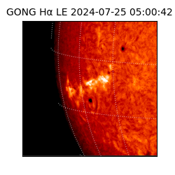 gong - 2024-07-25T05:00:42