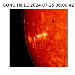 gong - 2024-07-25T06:00:42