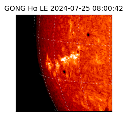 gong - 2024-07-25T08:00:42