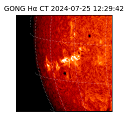 gong - 2024-07-25T12:29:42