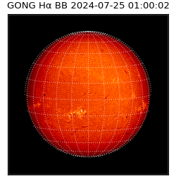 gong - 2024-07-25T01:00:02