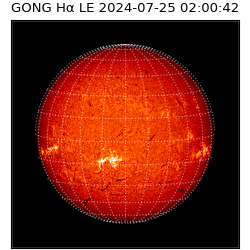 gong - 2024-07-25T02:00:42
