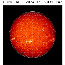 gong - 2024-07-25T03:00:42