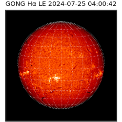 gong - 2024-07-25T04:00:42