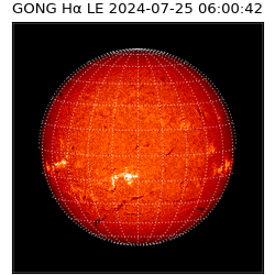 gong - 2024-07-25T06:00:42