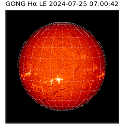 gong - 2024-07-25T07:00:42