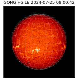 gong - 2024-07-25T08:00:42