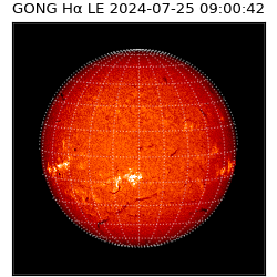 gong - 2024-07-25T09:00:42