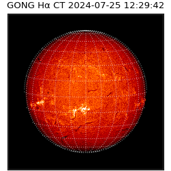 gong - 2024-07-25T12:29:42