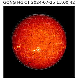 gong - 2024-07-25T13:00:42
