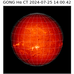 gong - 2024-07-25T14:00:42