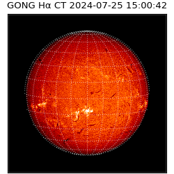 gong - 2024-07-25T15:00:42