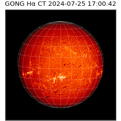 gong - 2024-07-25T17:00:42