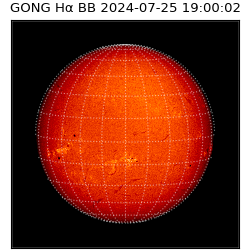 gong - 2024-07-25T19:00:02