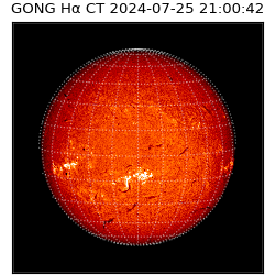 gong - 2024-07-25T21:00:42