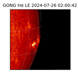 gong - 2024-07-26T02:00:42