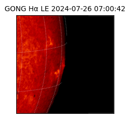 gong - 2024-07-26T07:00:42