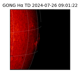 gong - 2024-07-26T09:01:22