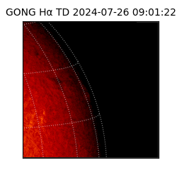 gong - 2024-07-26T09:01:22