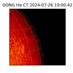 gong - 2024-07-26T19:00:42