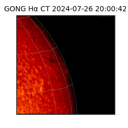 gong - 2024-07-26T20:00:42