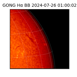 gong - 2024-07-26T01:00:02