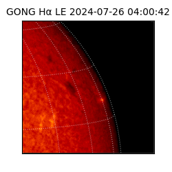 gong - 2024-07-26T04:00:42