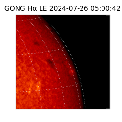 gong - 2024-07-26T05:00:42