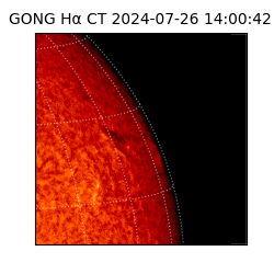 gong - 2024-07-26T14:00:42