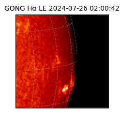 gong - 2024-07-26T02:00:42