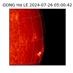 gong - 2024-07-26T05:00:42