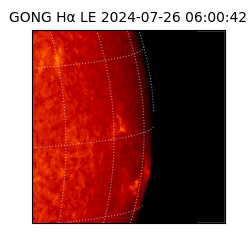 gong - 2024-07-26T06:00:42