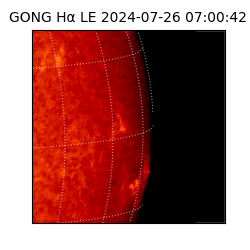 gong - 2024-07-26T07:00:42