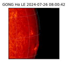 gong - 2024-07-26T08:00:42