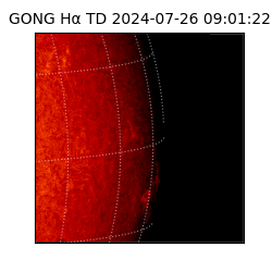 gong - 2024-07-26T09:01:22