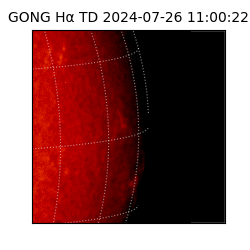 gong - 2024-07-26T11:00:22