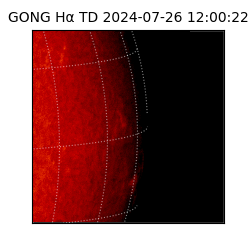 gong - 2024-07-26T12:00:22