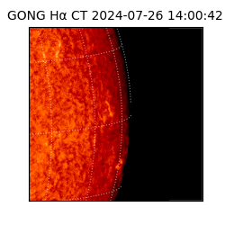 gong - 2024-07-26T14:00:42