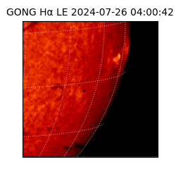 gong - 2024-07-26T04:00:42