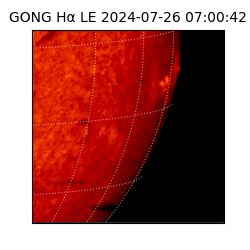 gong - 2024-07-26T07:00:42