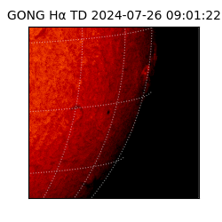 gong - 2024-07-26T09:01:22